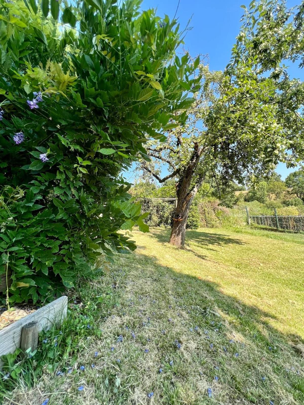 Villa La Baronnie - 11 Pers - Proche Brive -Jardin Ussac Kültér fotó