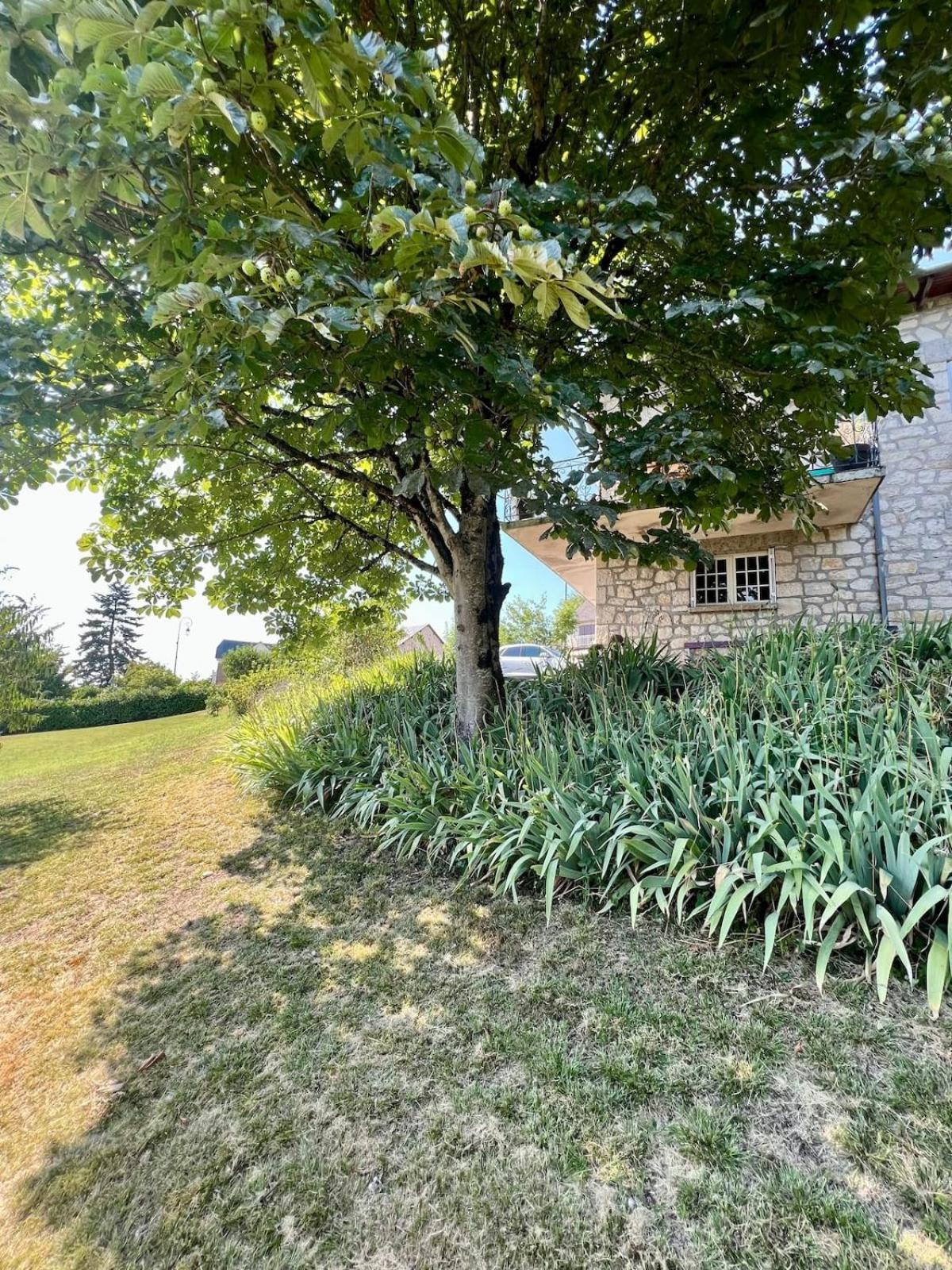 Villa La Baronnie - 11 Pers - Proche Brive -Jardin Ussac Kültér fotó